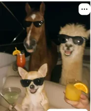 Pacto Antenupcial para empresários e herdeiros - A prevenção que salva sociedades