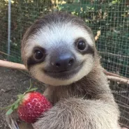 Divórcio e partilha de fazenda - Como proteger a operação rural