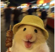 Doação com Reserva de Usufruto para proteger seus filhos sem perder o controle