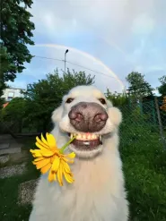 Capa do artigo: Como a Holding Rural protege a sua fazenda de impostos e conflitos familiares